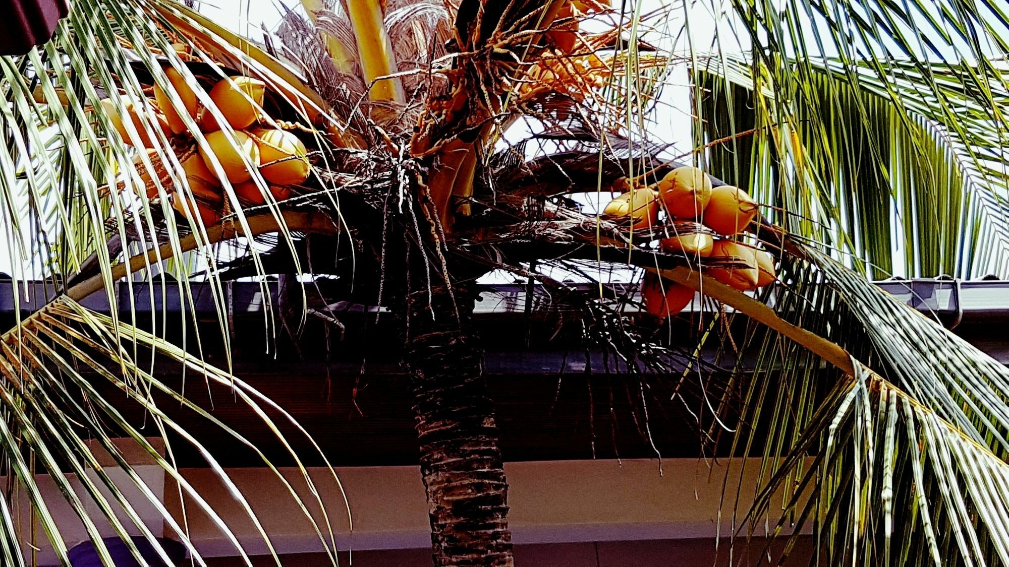 Happy Night Holiday Inn Unawatuna Zewnętrze zdjęcie